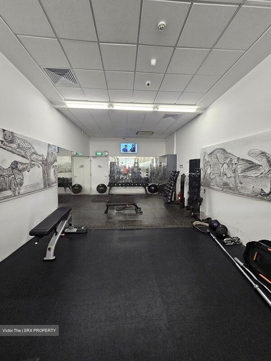 Savannah Condopark (D18), Condominium #458485671